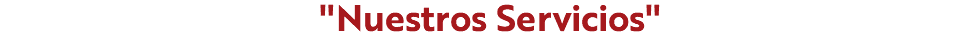 "Nuestros Servicios"