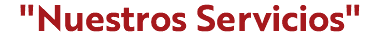 "Nuestros Servicios"